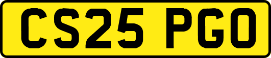 CS25PGO