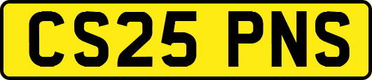 CS25PNS