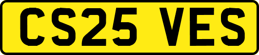 CS25VES
