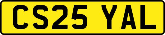 CS25YAL