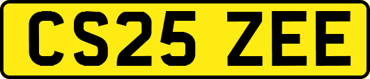 CS25ZEE