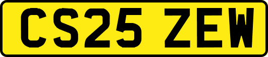 CS25ZEW