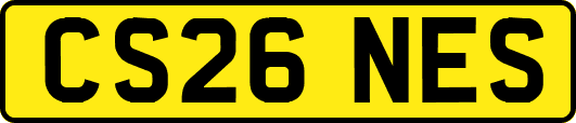 CS26NES
