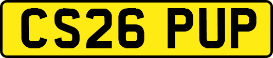 CS26PUP