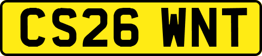 CS26WNT