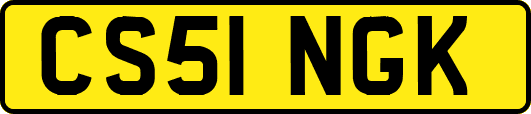 CS51NGK