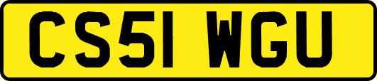 CS51WGU
