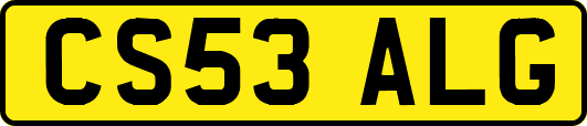 CS53ALG