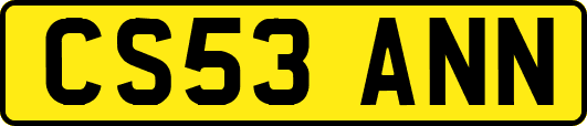 CS53ANN