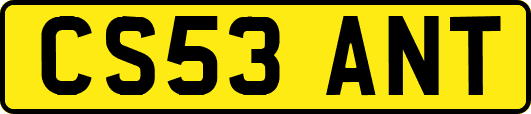 CS53ANT