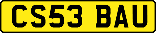 CS53BAU