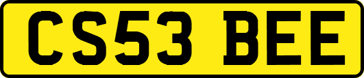CS53BEE
