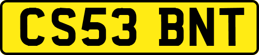 CS53BNT