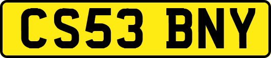 CS53BNY