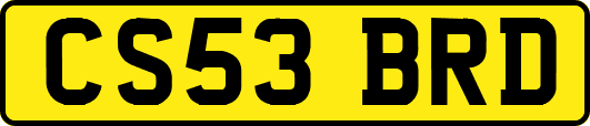 CS53BRD