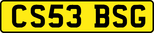CS53BSG