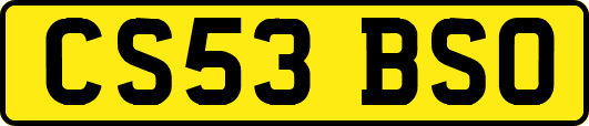 CS53BSO