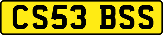 CS53BSS