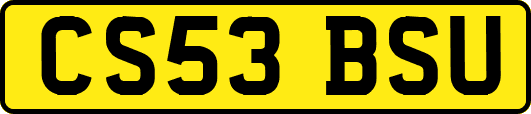 CS53BSU
