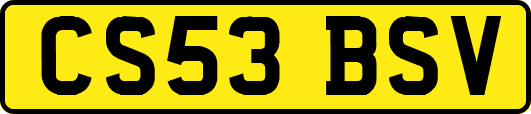 CS53BSV