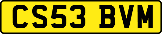 CS53BVM