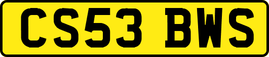 CS53BWS