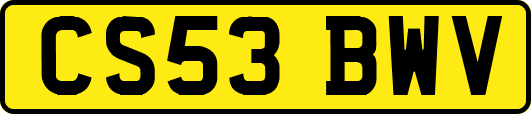 CS53BWV