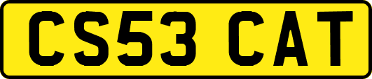 CS53CAT