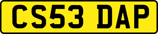 CS53DAP