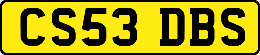 CS53DBS