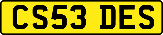 CS53DES