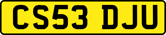 CS53DJU