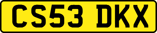CS53DKX