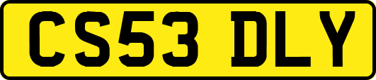 CS53DLY