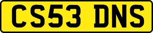 CS53DNS