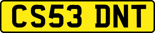 CS53DNT