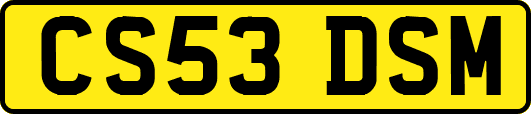 CS53DSM
