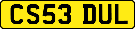 CS53DUL