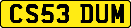 CS53DUM