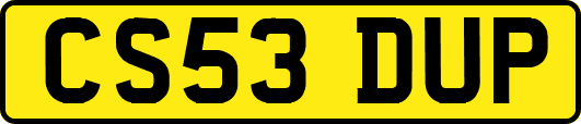 CS53DUP