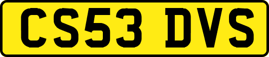 CS53DVS