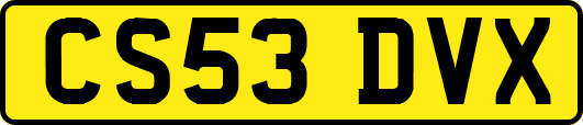CS53DVX