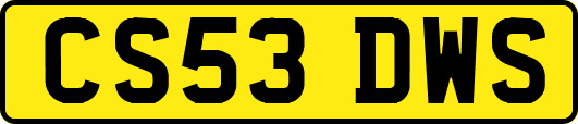CS53DWS