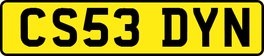 CS53DYN