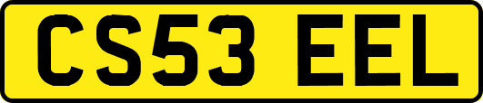 CS53EEL