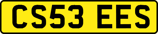 CS53EES