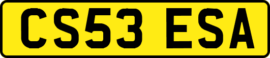 CS53ESA