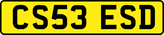 CS53ESD