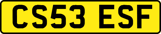 CS53ESF