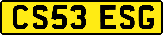 CS53ESG